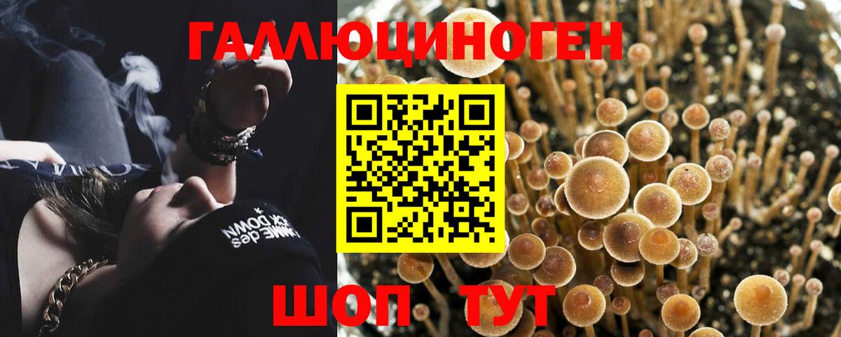 Псилоцибиновые грибы MAGIC MUSHROOMS  Вход с VPN  закладки  Благовещенск 